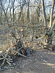 IMG_20250201_144942