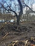 IMG_20250201_145040