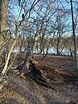 IMG_20250201_145049