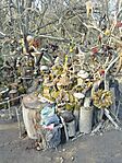 IMG_20250201_145110