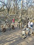 IMG_20250201_145255