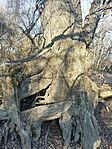IMG_20250201_150117