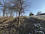 IMG_3077