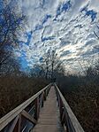 IMG_20250208_122126963_HDR[1]