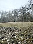 IMG_20250226_120344