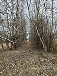 IMG_20250226_124435