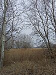 IMG_20250226_124424