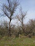 IMG_20250226_134928