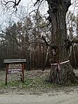 IMG_20250226_153333