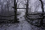DSC00499
