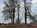 Tereske (11)