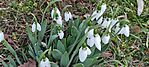 IMG_20250208_161402