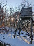 IMG_20250217_154708