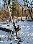 IMG_20250217_154822
