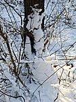 IMG_20250217_155103