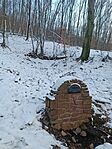 IMG_20250217_163237