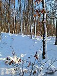 IMG_20250217_160029