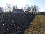 IMG_20250203_122654_225
