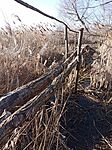 IMG_20250203_131115_138