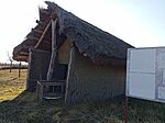 IMG_20250203_130046_370
