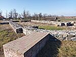 IMG_20250203_130209_921