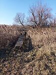 IMG_20250203_131053_657