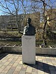 IMG_7113
