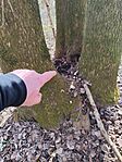 IMG_20250312_141111