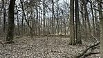 IMG_4367