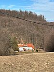 IMG_6984