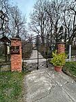 IMG_7156