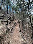 IMG_7195