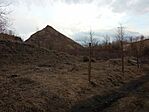 IMG_20250312_170921