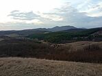 IMG_20250312_165822