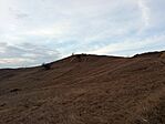 IMG_20250312_170222