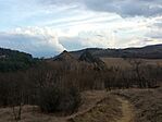 IMG_20250312_163753