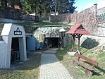 IMG_20250312_125556