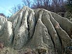 IMG_20250312_110333