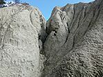 IMG_20250312_110554