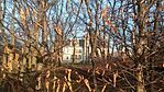 IMG_20250131_154817