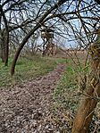 IMG_20250326_171505