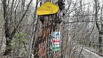 20250316_094414(0)