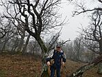 IMG_20250315_144201