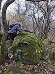 IMG_20250315_144338