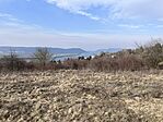 IMG_1340