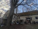 IMG_20250301_145433