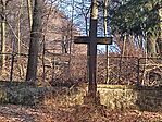 IMG_20250308_162048