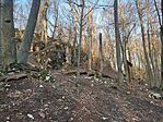 IMG_20250309_071940