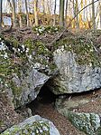 IMG_20250309_072259