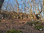 IMG_20250309_072459